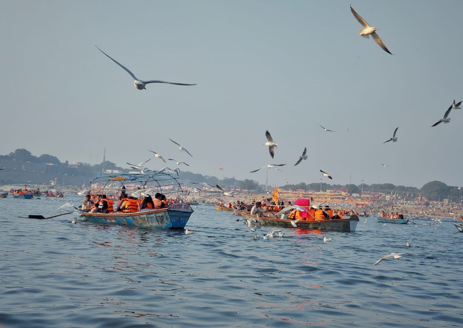 Boats carrying pilgrims across the Sangam at Prayagraj during the 2025 Maha Kumbh, gulls wheeling overhead